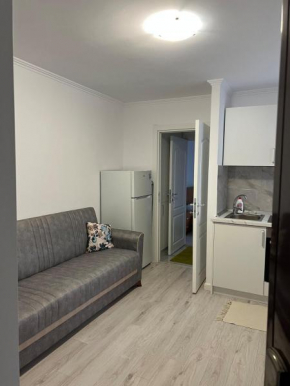 Apartament central